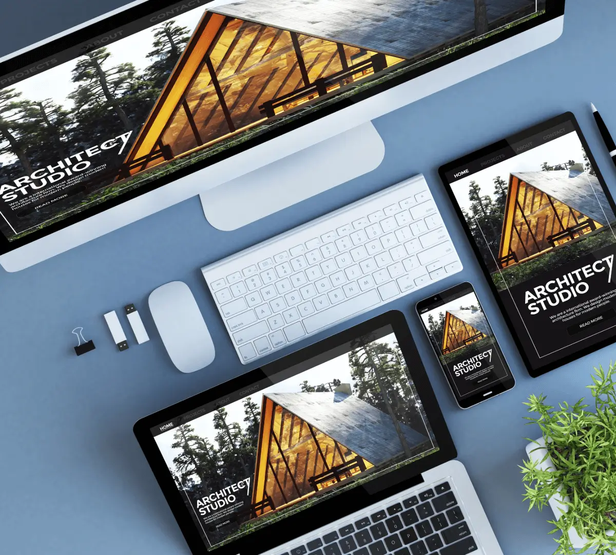 Design by Carolyn builds well-organized and optimized websites that are fully responsive and user-friendly